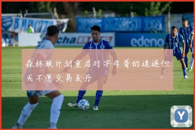 森林狼计划重启对字母哥的追逐但或不愿交易麦丹